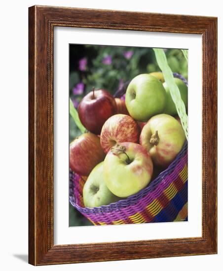 Apples (Granny Smith and Gala) in a Basket-Linda Burgess-Framed Photographic Print