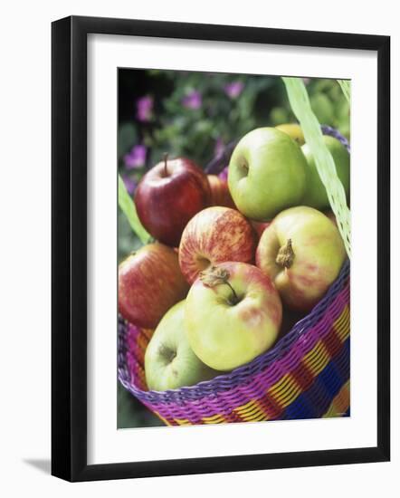 Apples (Granny Smith and Gala) in a Basket-Linda Burgess-Framed Photographic Print