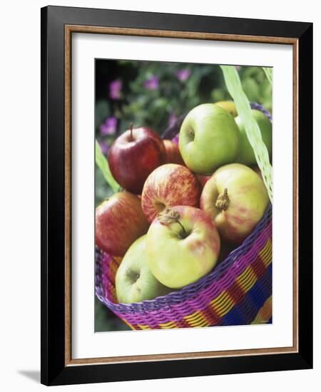 Apples (Granny Smith and Gala) in a Basket-Linda Burgess-Framed Photographic Print