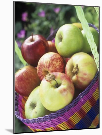 Apples (Granny Smith and Gala) in a Basket-Linda Burgess-Mounted Photographic Print