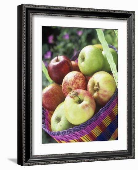 Apples (Granny Smith and Gala) in a Basket-Linda Burgess-Framed Photographic Print