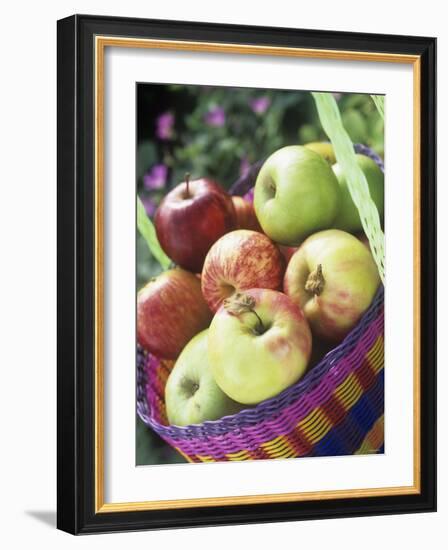 Apples (Granny Smith and Gala) in a Basket-Linda Burgess-Framed Photographic Print