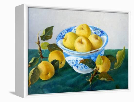 Apples in a Blue Bowl, 2014-Cristiana Angelini-Framed Premier Image Canvas