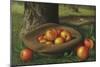 Apples in a Brown Hat-Thomas Birch-Mounted Giclee Print