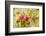 Apples (Malus Domestica) Growing in Traditional Orchard at Cotehele Nt Property, Cornwall, UK-Ross Hoddinott-Framed Photographic Print