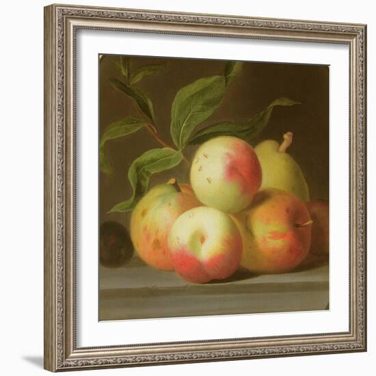 Apples on a Shelf-Jakob Bogdani-Framed Giclee Print