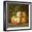 Apples on a Shelf-Jakob Bogdani-Framed Giclee Print