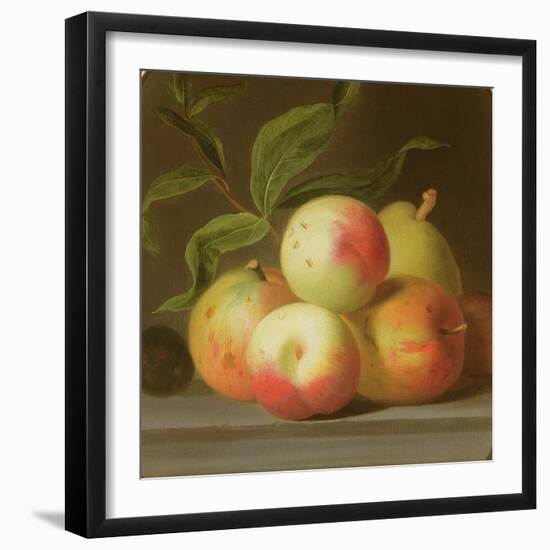 Apples on a Shelf-Jakob Bogdani-Framed Giclee Print