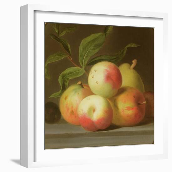 Apples on a Shelf-Jakob Bogdani-Framed Giclee Print