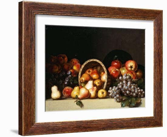 Apples, Pears, Plums and Grapes-Charles Bird King-Framed Giclee Print