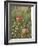Apples, Two, Branch, Meadow-Andrea Haase-Framed Photographic Print