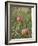 Apples, Two, Branch, Meadow-Andrea Haase-Framed Photographic Print