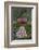 Apples, Two, Heart, Tree Trunk, Moss-Andrea Haase-Framed Photographic Print