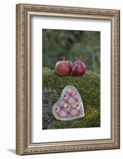 Apples, Two, Heart, Tree Trunk, Moss-Andrea Haase-Framed Photographic Print