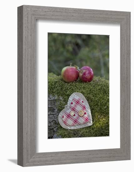 Apples, Two, Heart, Tree Trunk, Moss-Andrea Haase-Framed Photographic Print