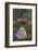 Apples, Two, Heart, Tree Trunk, Moss-Andrea Haase-Framed Photographic Print