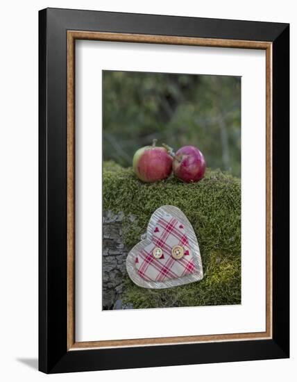 Apples, Two, Heart, Tree Trunk, Moss-Andrea Haase-Framed Photographic Print