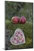 Apples, Two, Heart, Tree Trunk, Moss-Andrea Haase-Mounted Photographic Print
