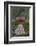 Apples, Two, Heart, Tree Trunk, Moss-Andrea Haase-Framed Photographic Print