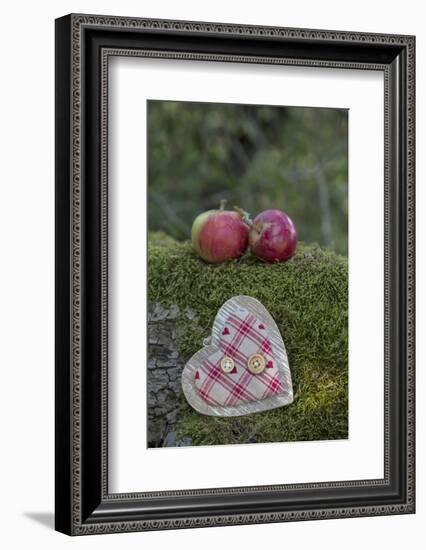 Apples, Two, Heart, Tree Trunk, Moss-Andrea Haase-Framed Photographic Print