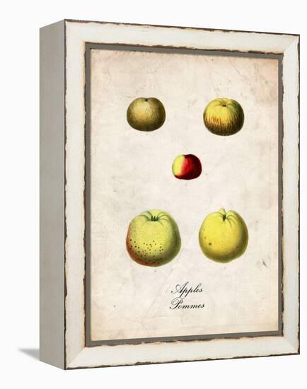 Apples-null-Framed Stretched Canvas