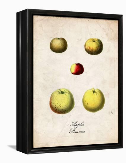 Apples-null-Framed Stretched Canvas