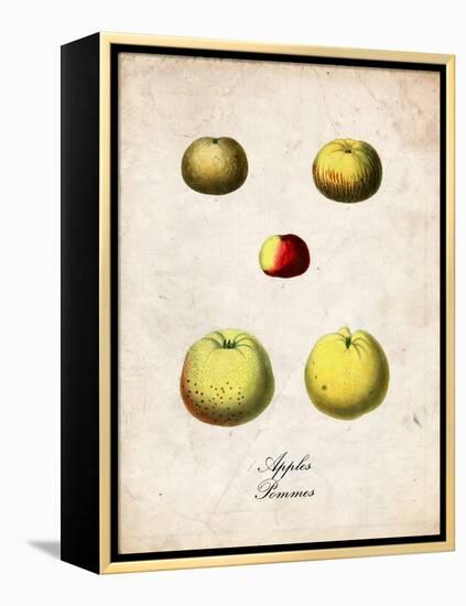 Apples-null-Framed Stretched Canvas