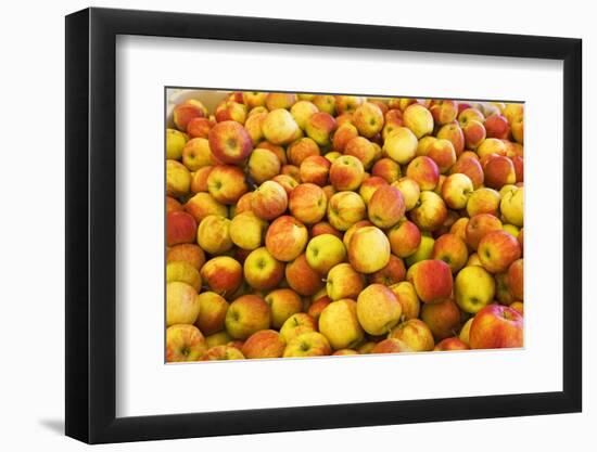 Apples-Buddy Mays-Framed Photographic Print