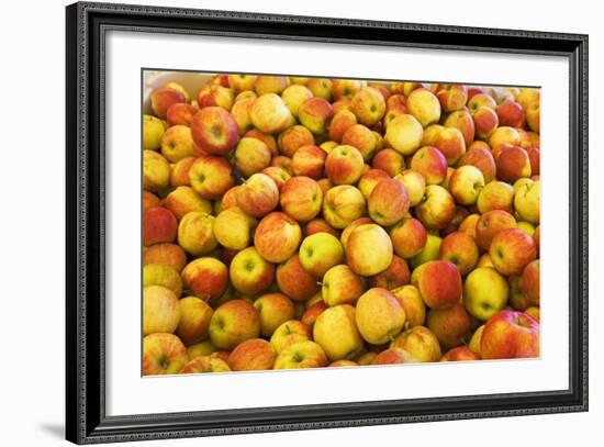 Apples-Buddy Mays-Framed Photographic Print