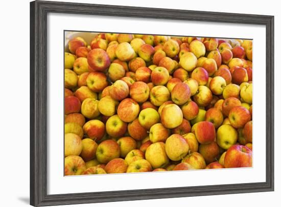 Apples-Buddy Mays-Framed Photographic Print