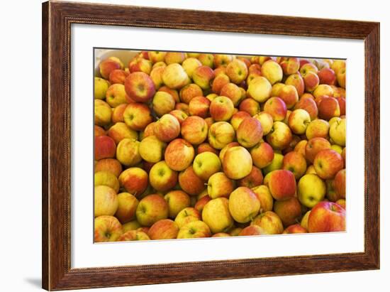 Apples-Buddy Mays-Framed Photographic Print