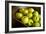 Apples-Karyn Millet-Framed Photographic Print