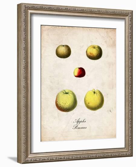 Apples-null-Framed Art Print