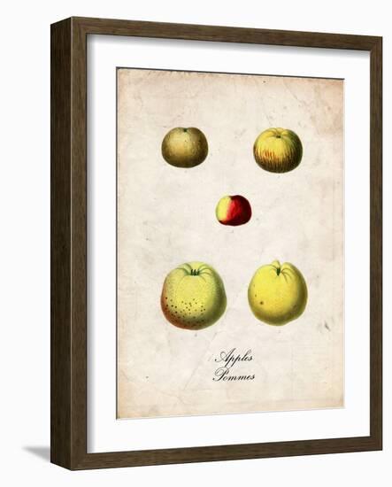 Apples-null-Framed Art Print