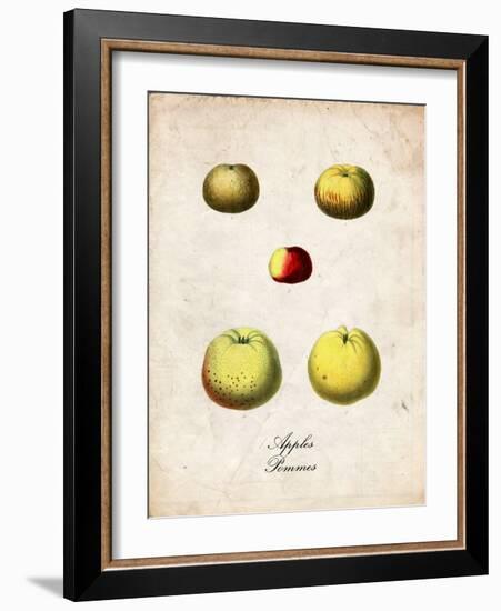 Apples-null-Framed Art Print