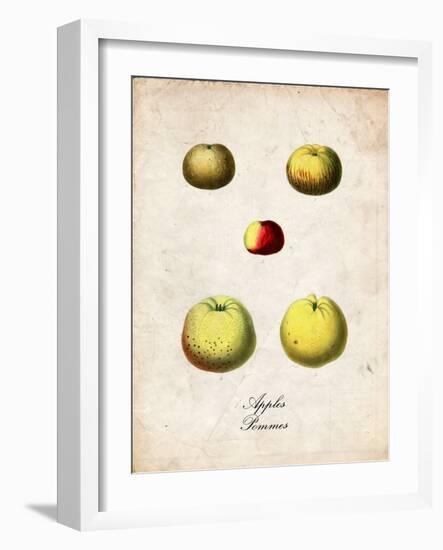 Apples-null-Framed Art Print