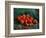 Apples-Vincent van Gogh-Framed Premium Giclee Print