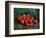 Apples-Vincent van Gogh-Framed Premium Giclee Print