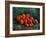 Apples-Vincent van Gogh-Framed Premium Giclee Print