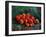 Apples-Vincent van Gogh-Framed Giclee Print