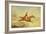 Approaching a Ditch-Henry Thomas Alken-Framed Giclee Print