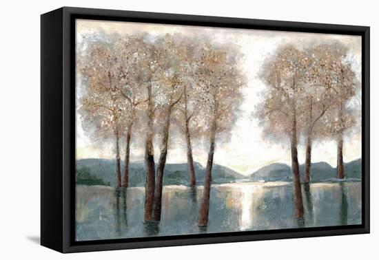 Approaching Autumn 1-Doris Charest-Framed Stretched Canvas