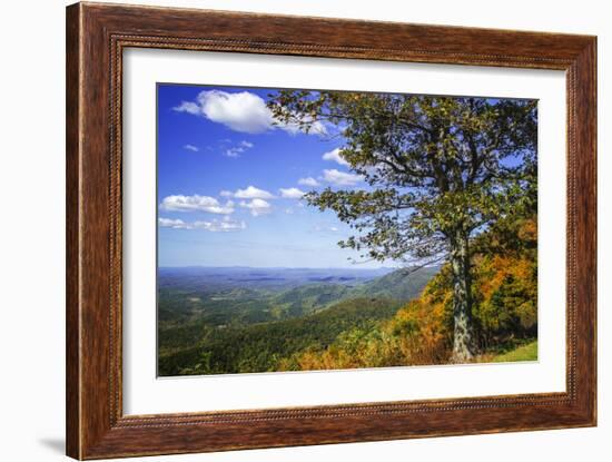 Approaching Autumn II-Alan Hausenflock-Framed Photographic Print