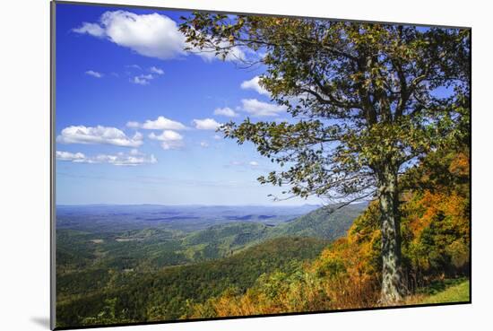 Approaching Autumn II-Alan Hausenflock-Mounted Photographic Print