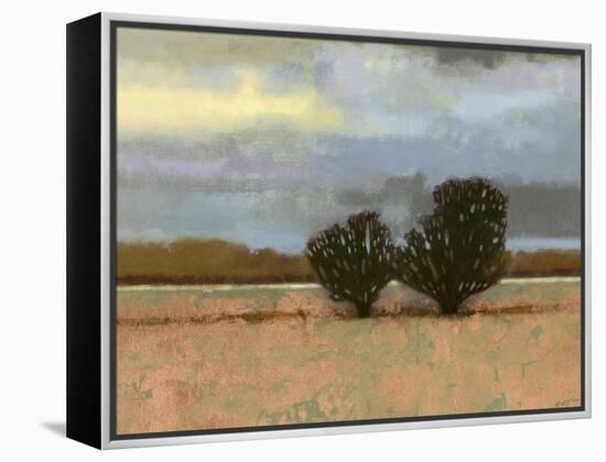 Approaching Storm I-Norman Wyatt Jr.-Framed Stretched Canvas