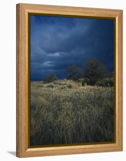 Approaching Storm in Desert, Lava Beds National Monument, California, USA-Paul Souders-Framed Premier Image Canvas