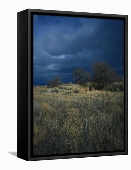 Approaching Storm in Desert, Lava Beds National Monument, California, USA-Paul Souders-Framed Premier Image Canvas