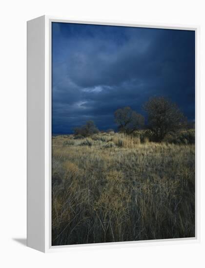 Approaching Storm in Desert, Lava Beds National Monument, California, USA-Paul Souders-Framed Premier Image Canvas