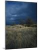 Approaching Storm in Desert, Lava Beds National Monument, California, USA-Paul Souders-Mounted Photographic Print