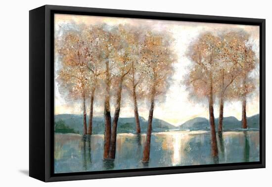 Approaching Woods-Doris Charest-Framed Stretched Canvas